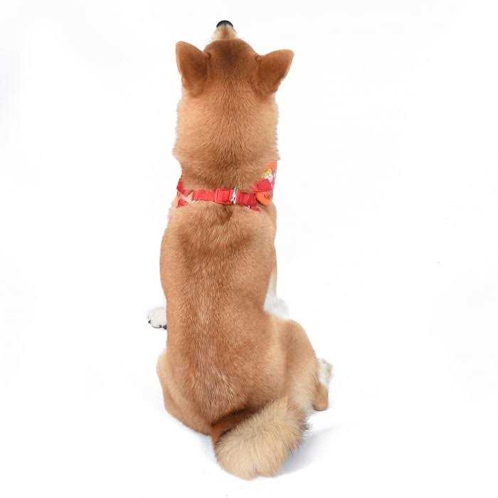 Nickelodeon All Stars Dog Harness for Large Dogs No Pull Dog Harness Vest with Nickelodeon Characters from Rugrats, Hey Arnold, and More