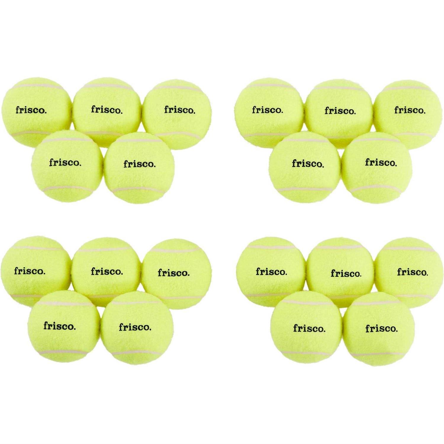 Frisco Fetch Squeaky Tennis Ball Dog Toy