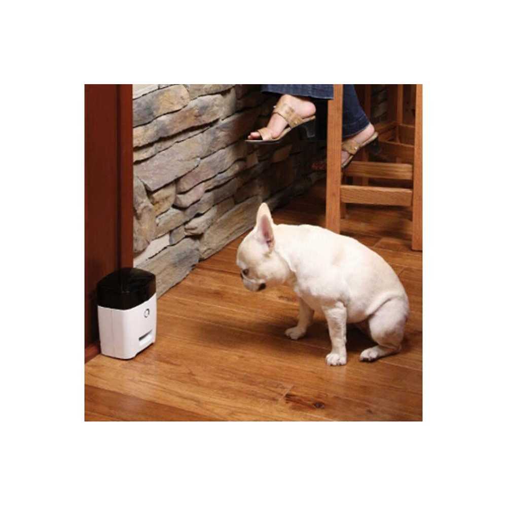 PetSafe Train N Praise Dog Treat Dispenser