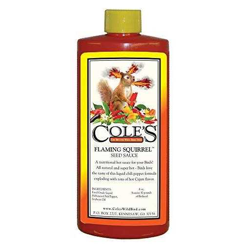 Cole’s Wild Bird Products Fs08 Flaming Squirrel Seed Sauce