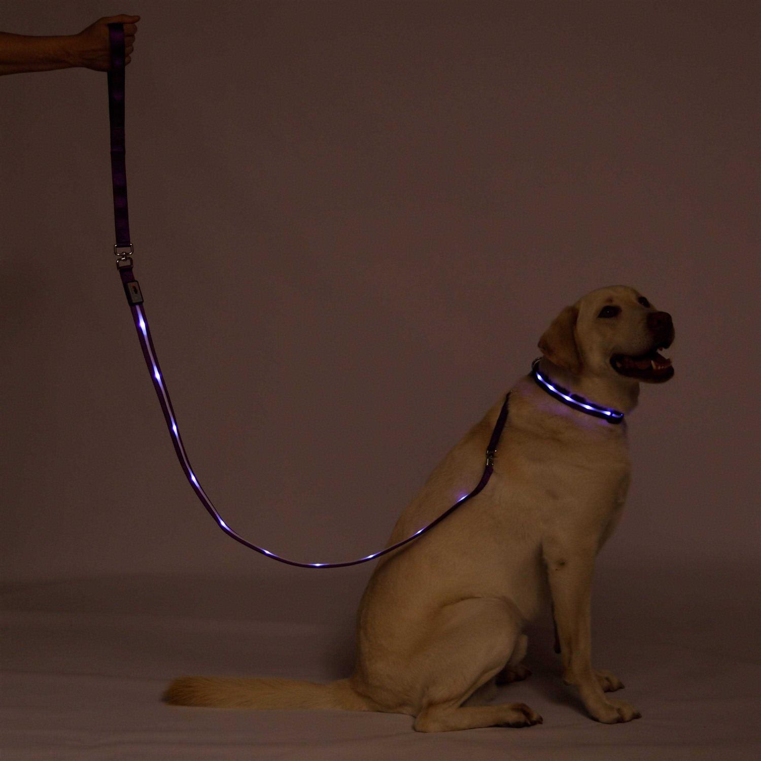 Blazin Safety LED Dog Leash USB Rechargeable Flashing Light