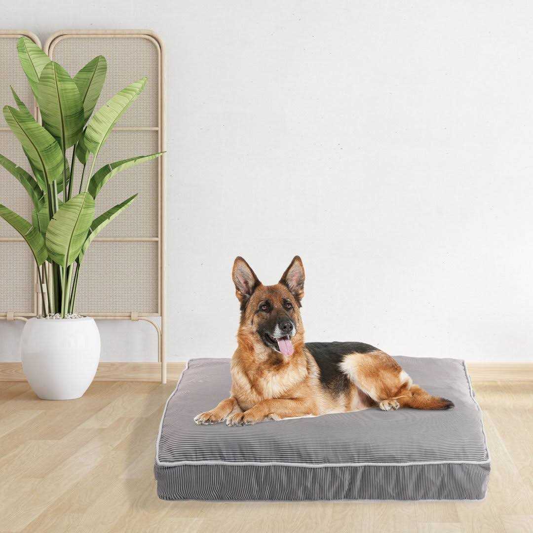 Rae Dunn Orthopedic Pet Bed
