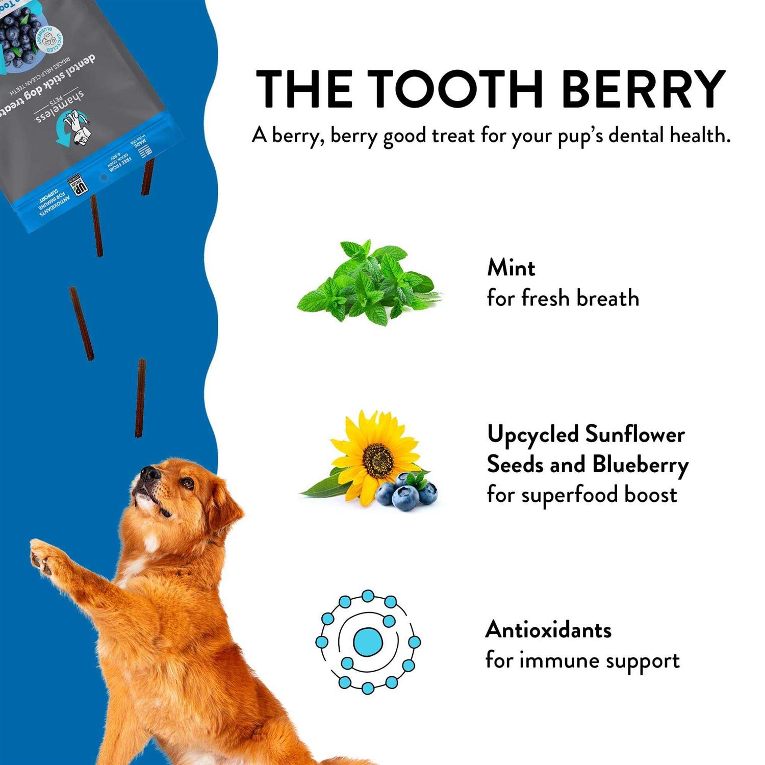Shameless Pets Dental Stick Dog Treats The Tooth Berry