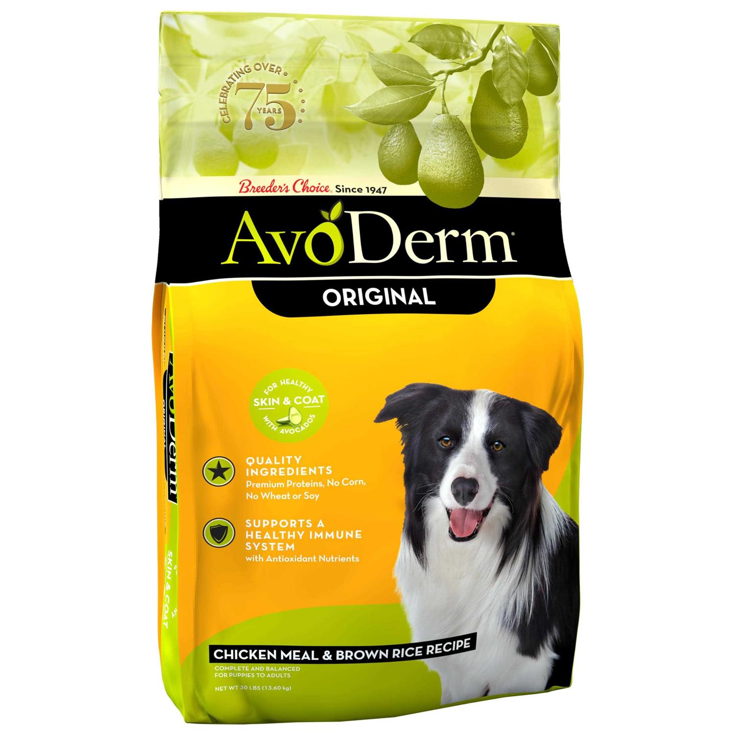 AvoDerm Natural Chicken Meal & Brown Rice Formula Adult Dry Dog Food