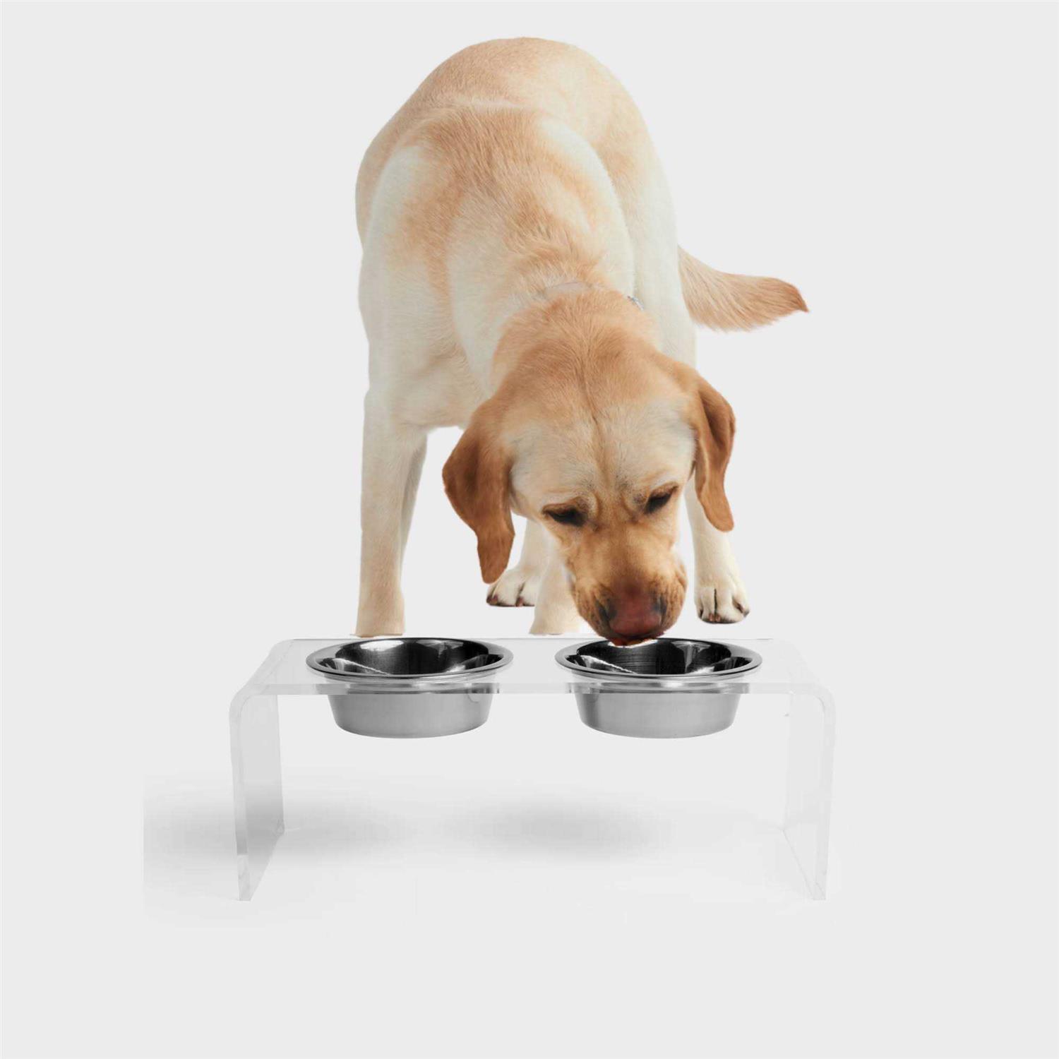 Hiddin Clear Double Bowl Pet Feeder