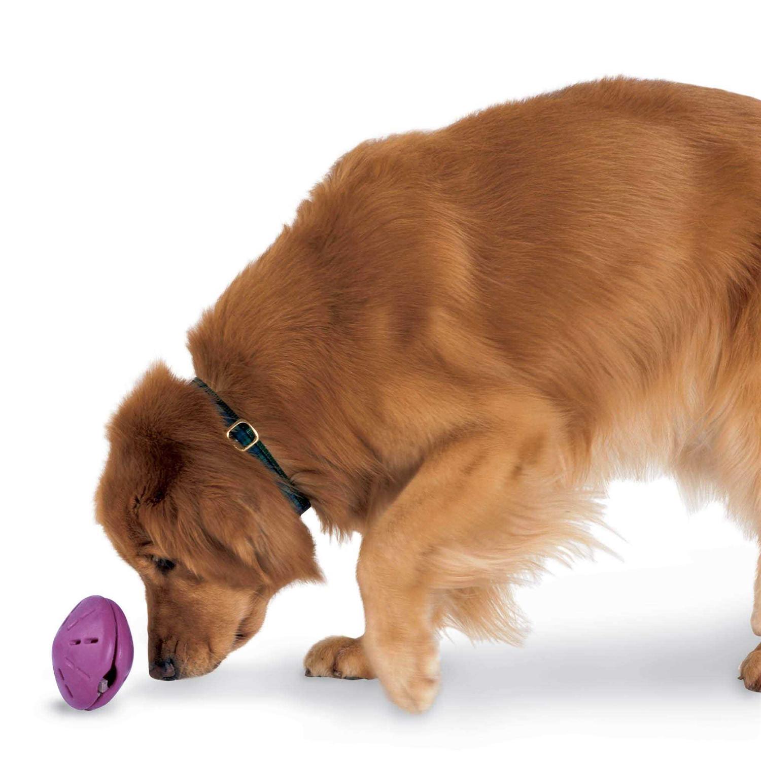 PetSafe Busy Buddy Twist n Treat Dog Toy