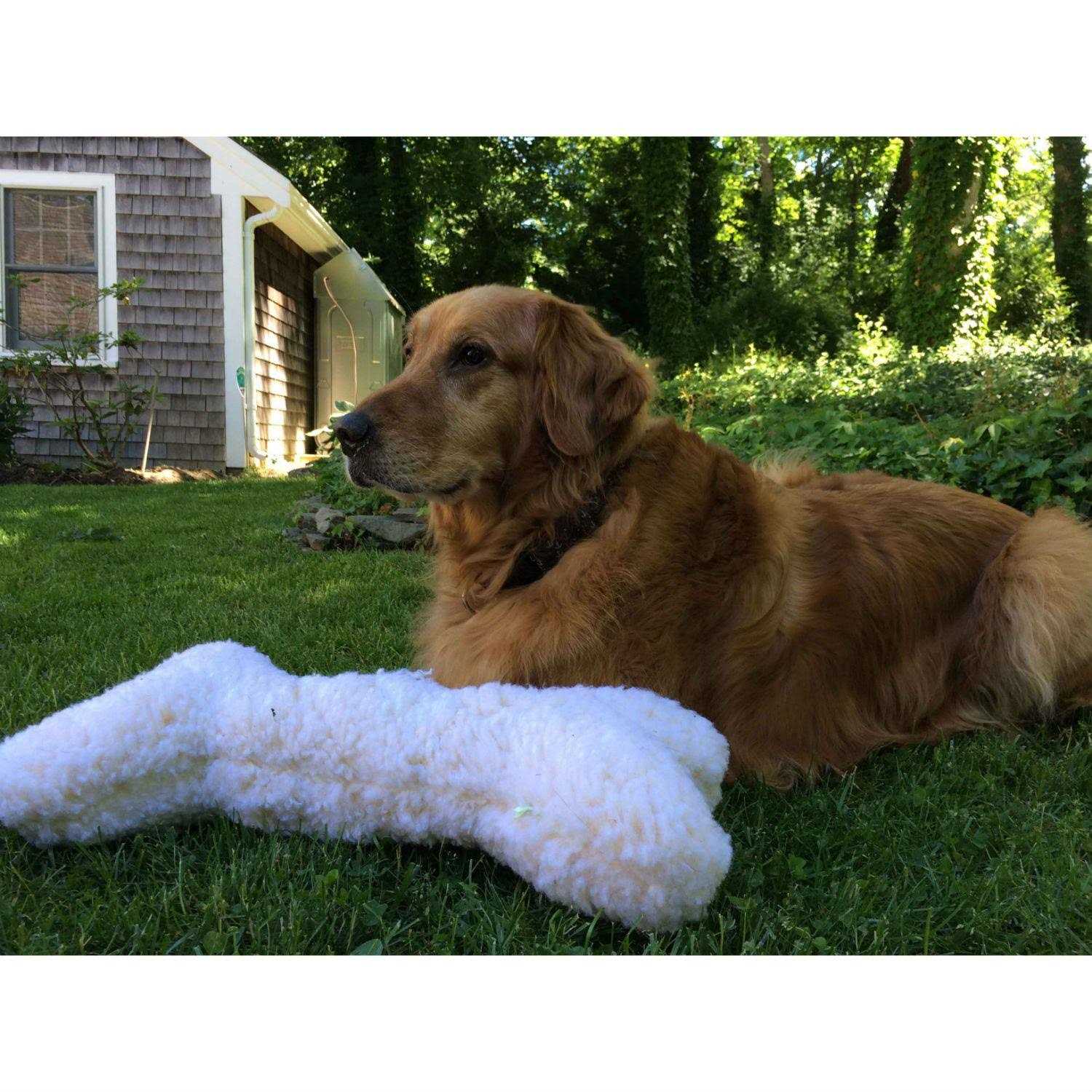 Hugglehounds HuggleFleece Bone with Invincible Squeaker Dog Toy
