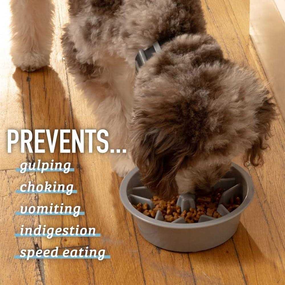 Leashboss Slow Feeder Dog Bowls Cup Maze Puzzle Food Bowl with Feeder Holes