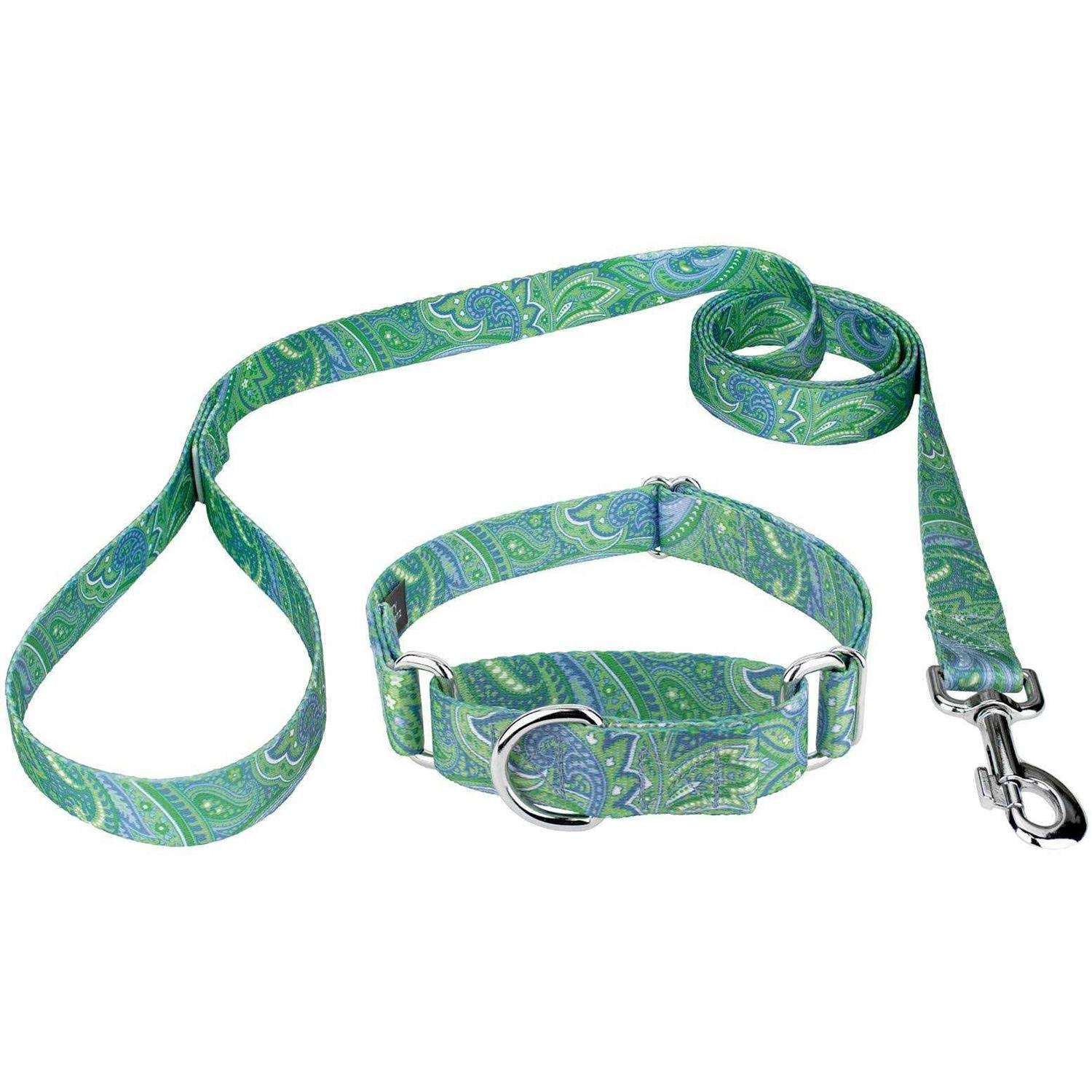 Country Brook Petz Dog Martingale Collar