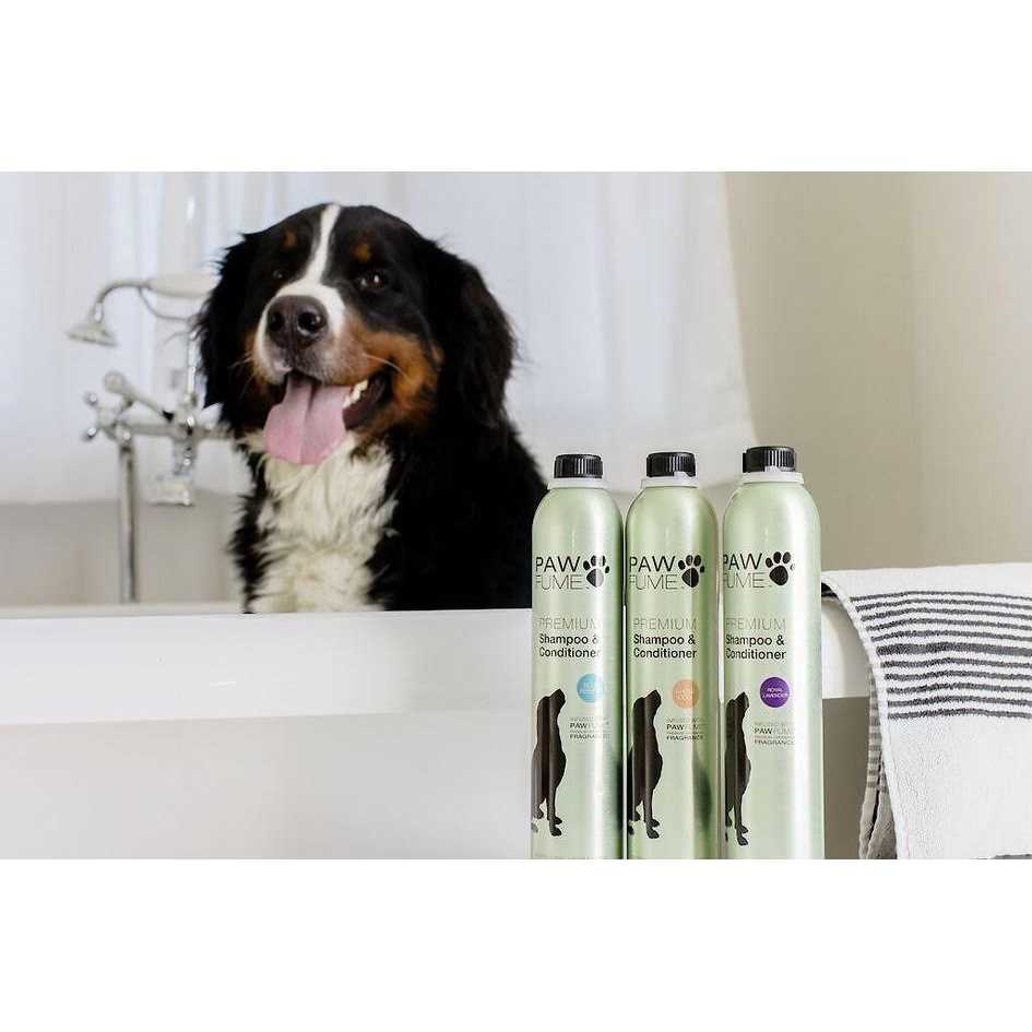 Pawfume Dog Shampoo and Conditioner Hypoallergenic Dog Shampoo for Smelly Dogs