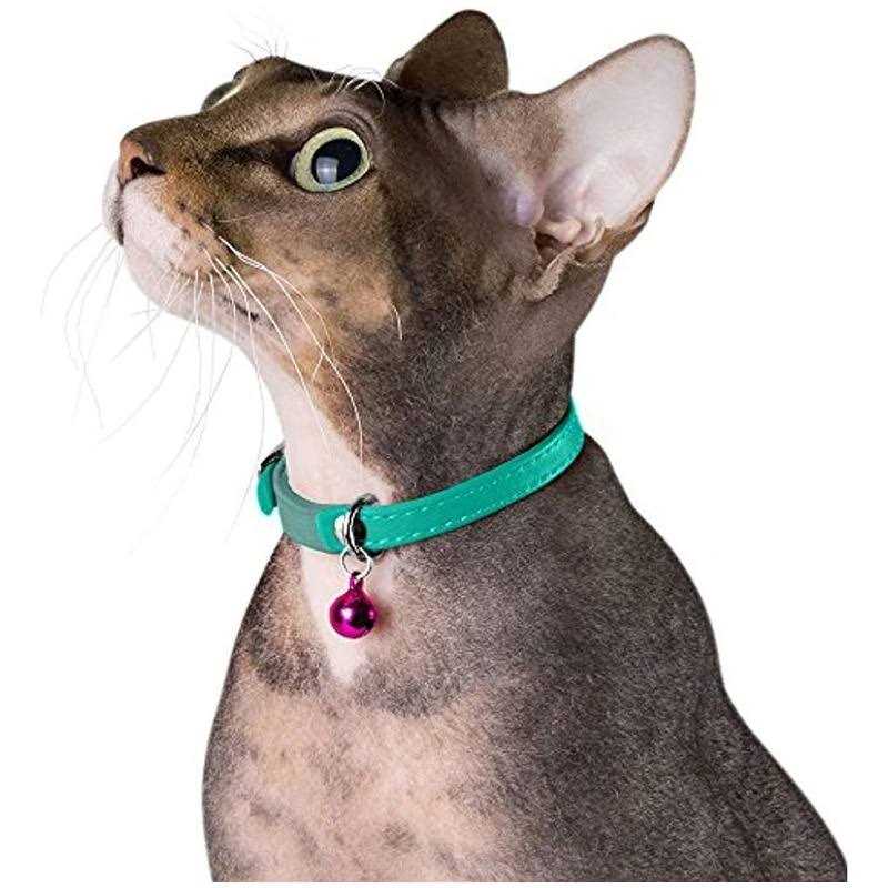 CollarDirect Leather Cat Collar with Bell Kitten Collar, Small and Big Cat Collar for Boy Cats