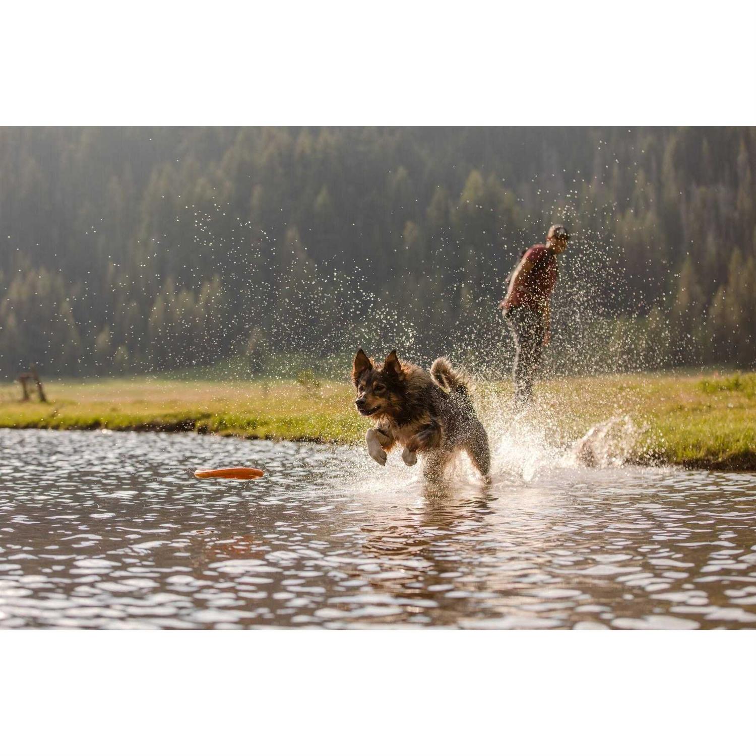 Ruffwear Hydro Plane Toy