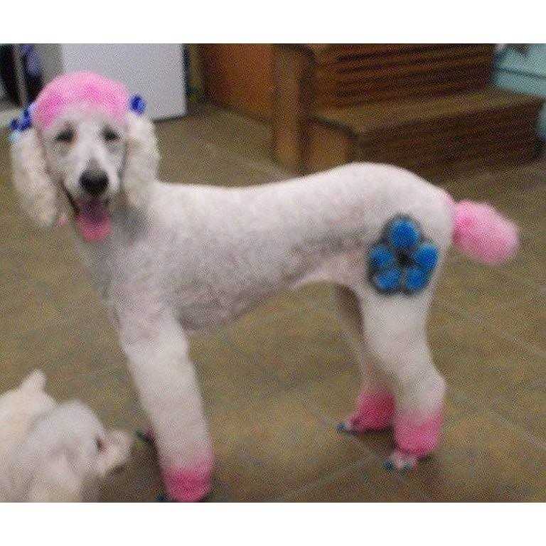 Warren London Critter Color