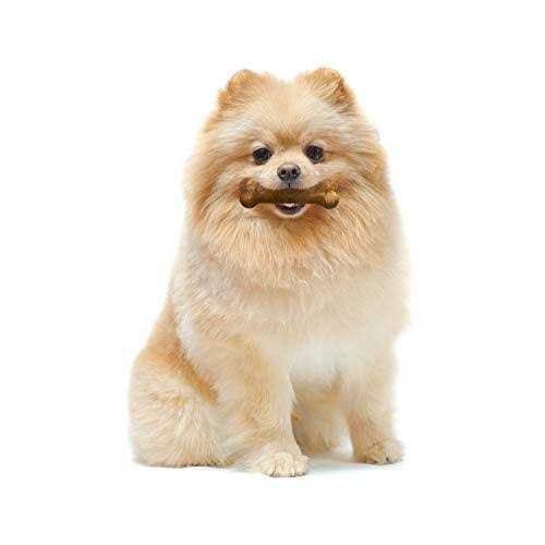 Nylabone Healthy Edibles Dog Treats