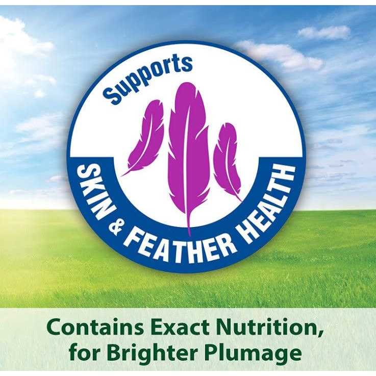 Kaytee Exact Rainbow Chunky Parrot Food