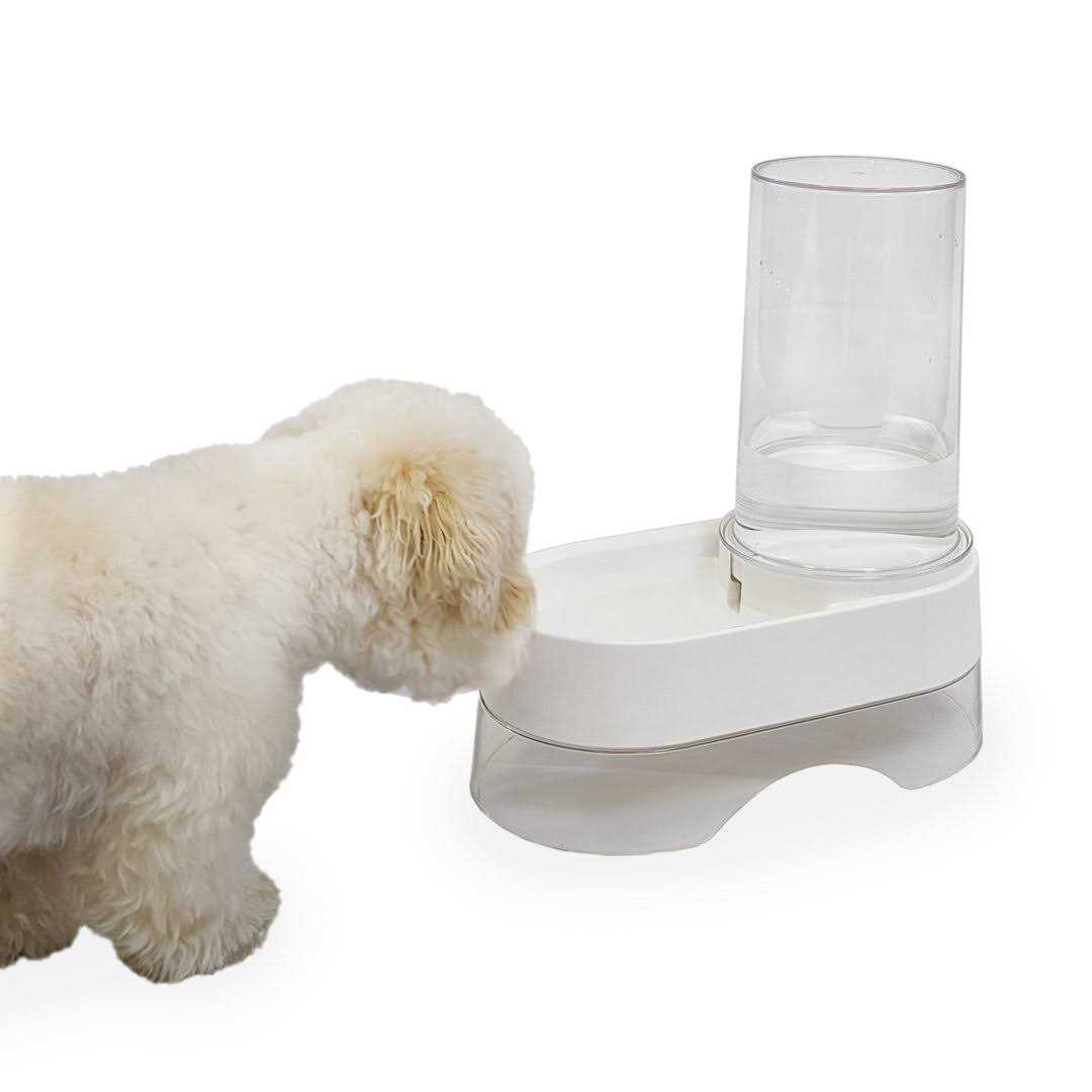 Richell Elevated Gravity Pet Water Dispenser