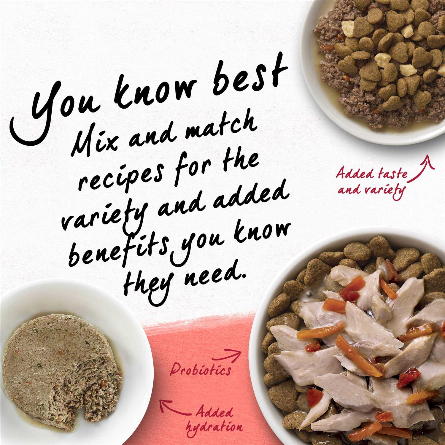 Purina Beyond Cat Dry Food