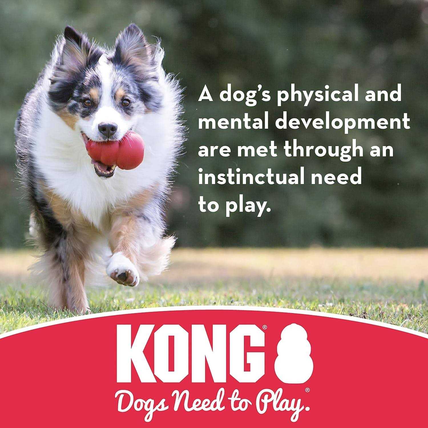Dog Toy KONG Ball