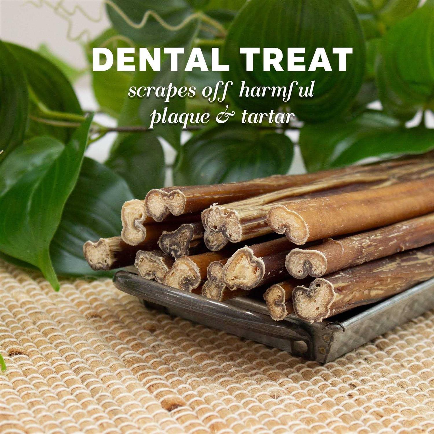 Downtown Pet Supply Bully Sticks for Dogs Free Dog