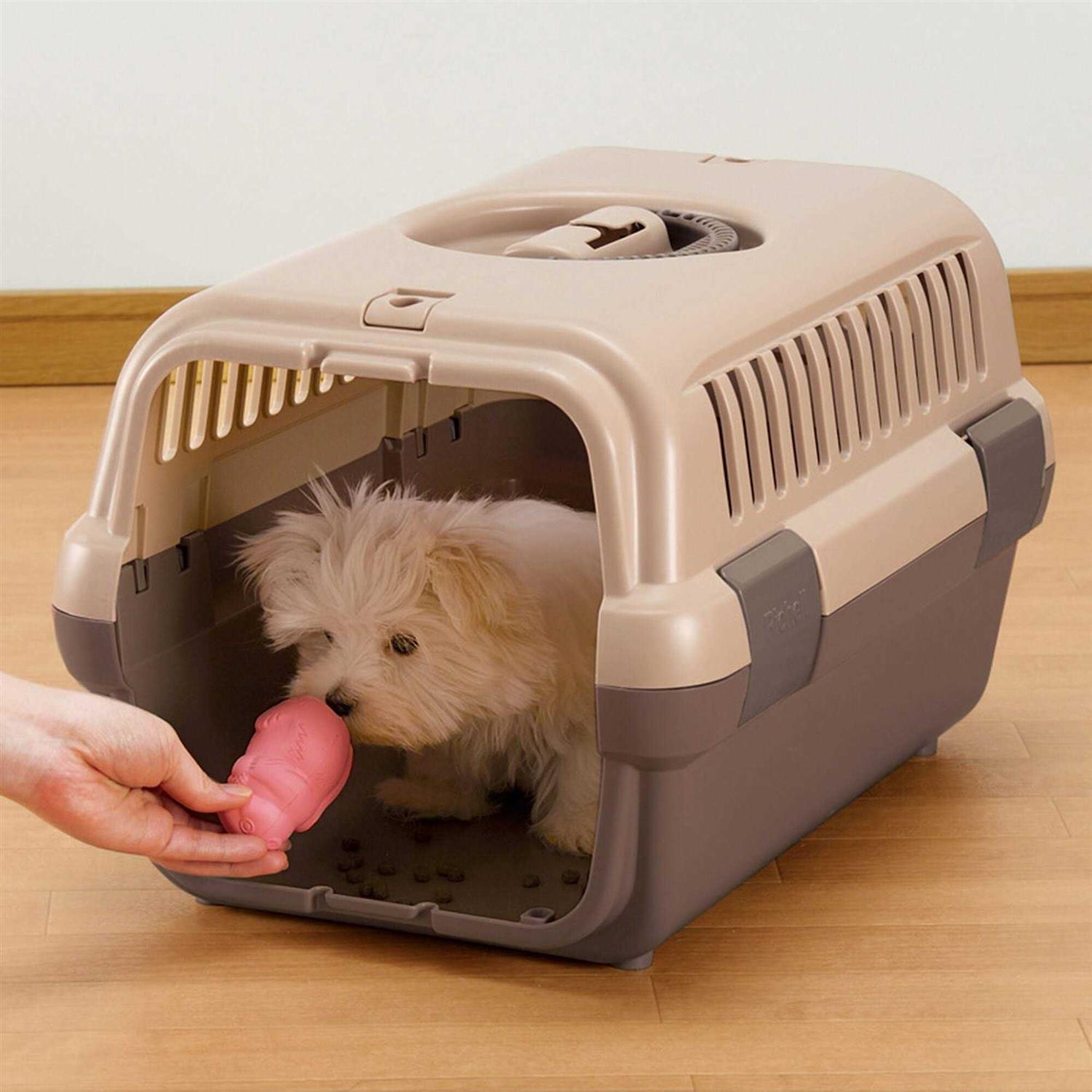 Richell Pet Travel Carrier