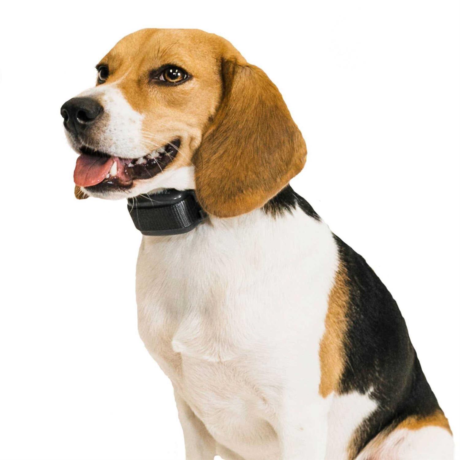 Premier Pet Bark Collar