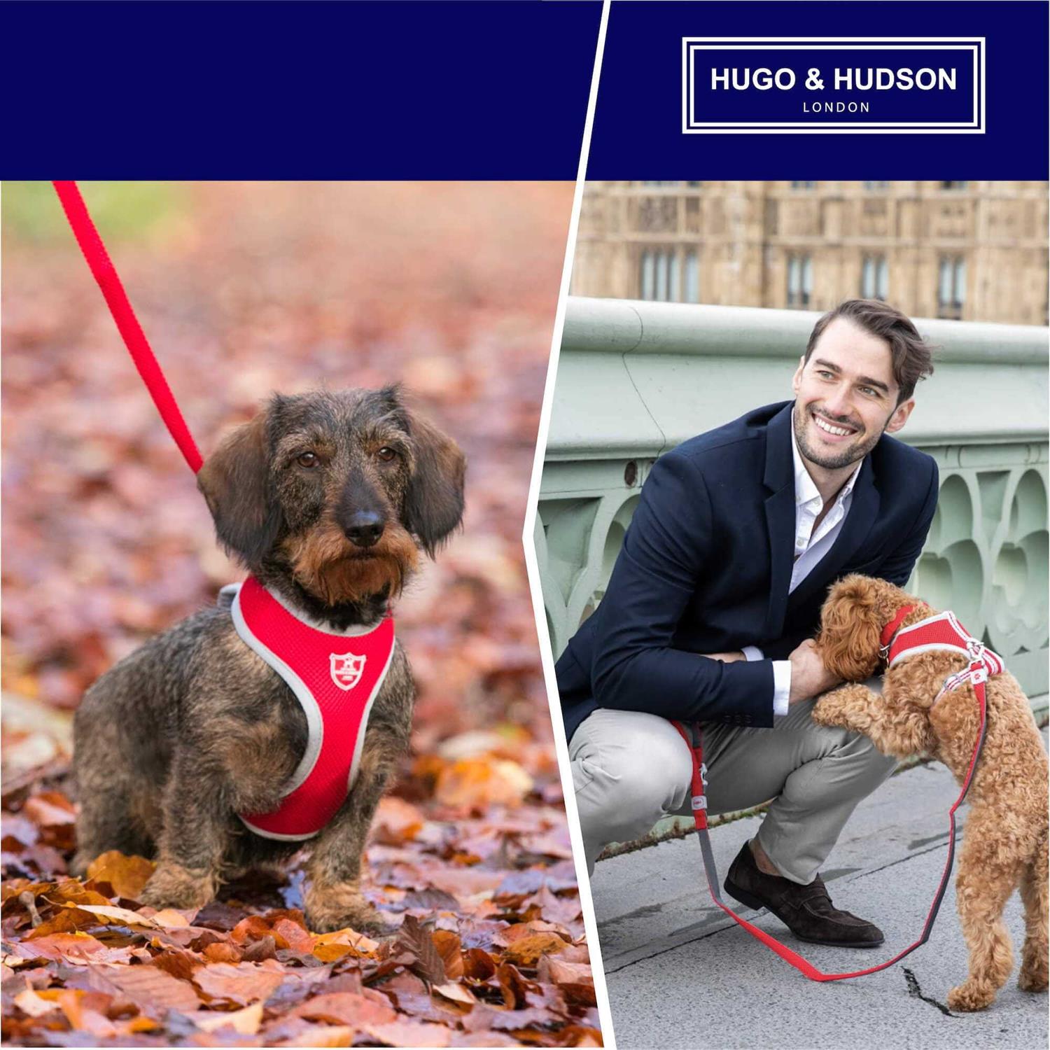 Hugo & Hudson Mesh Dog Collar