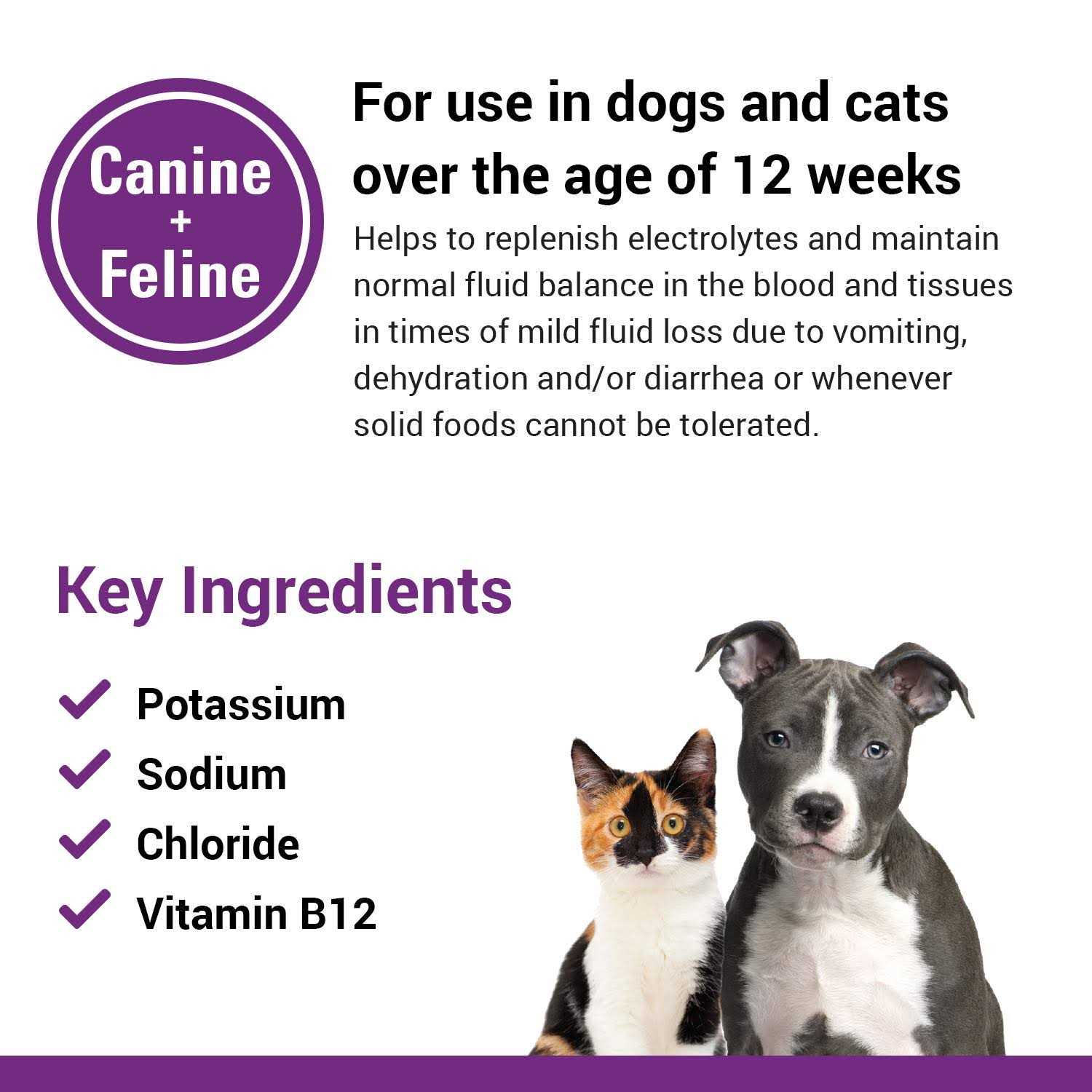 Vet Classics Pet-A-Lyte Oral Electrolyte Solution