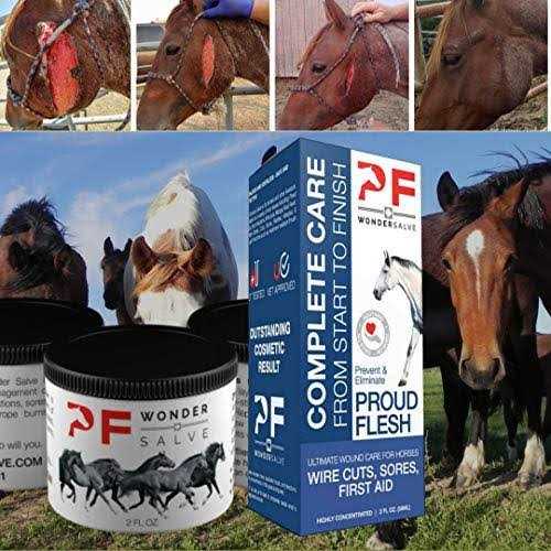 PF Wonder Salve Equine Wound Paste 2 oz. Proud Flesh Treatment Veterinarian Form