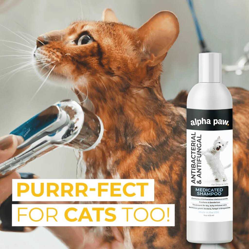 Alpha Paw Antibacterial & Antifungal Medicated Shampoo
