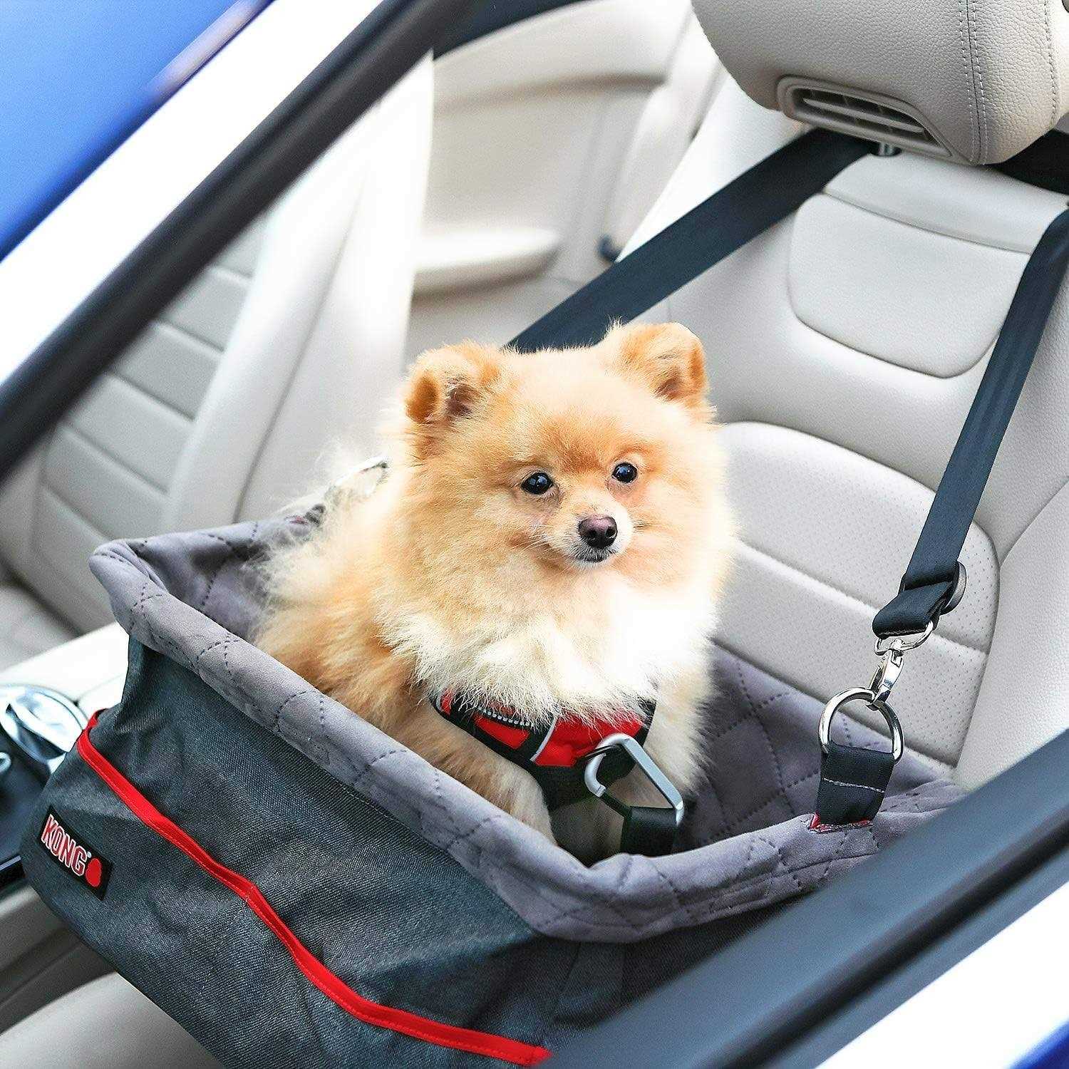 KONG Secure Dog Car Booster Seat with Built-In Tether