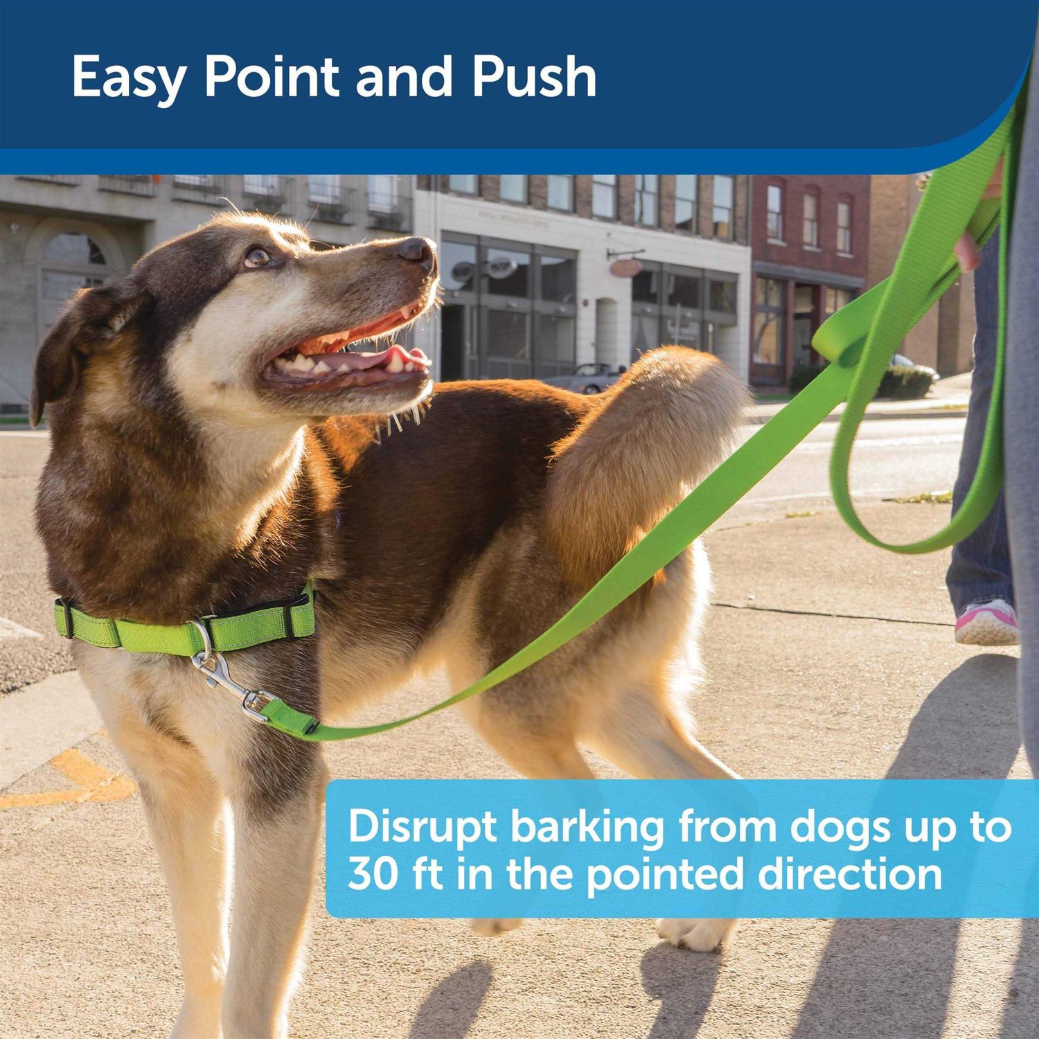 PetSafe Collarless Ultrasonic Remote Dog Trainer