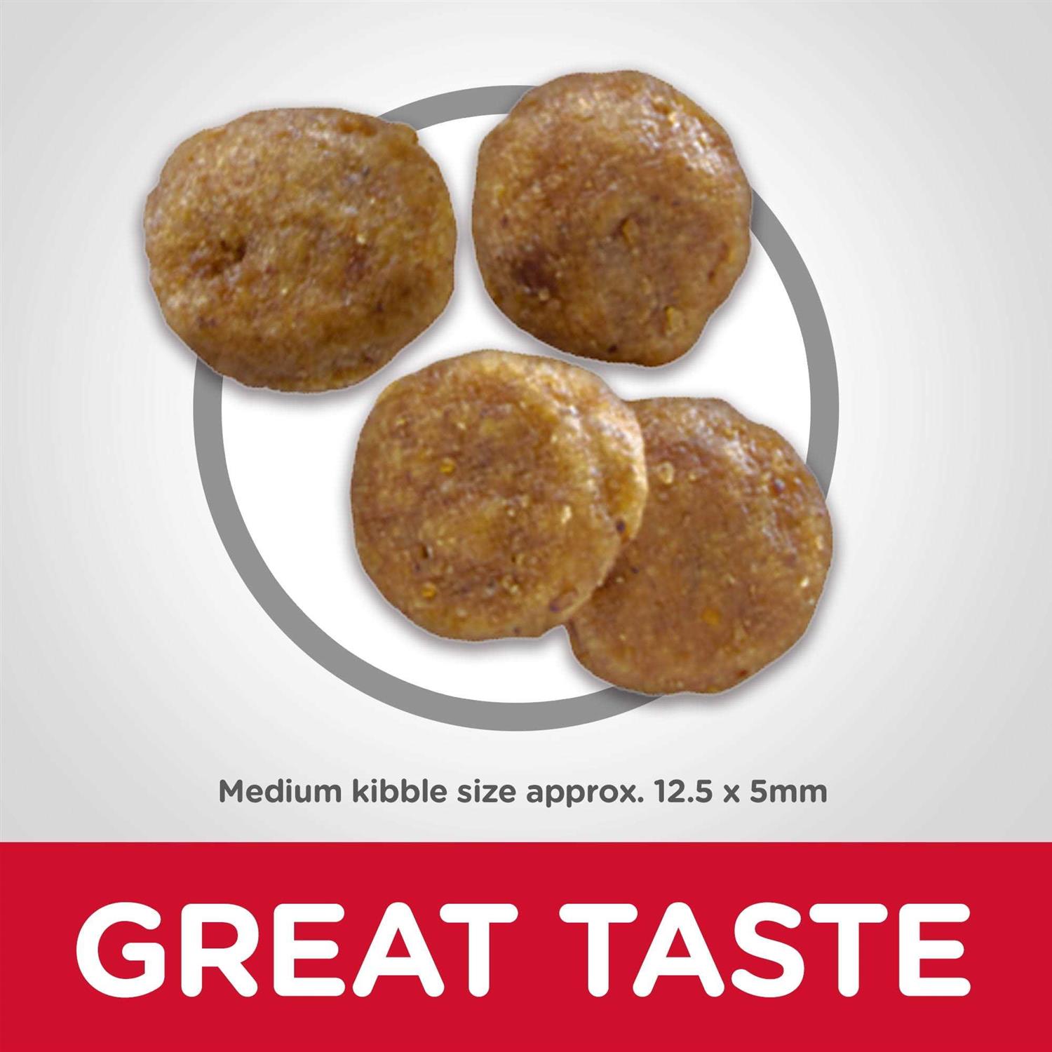 Hill’s Science Diet Sensitive Stomach Skin Grain Free Chicken Potato Recipe Adult Dry Dog Food