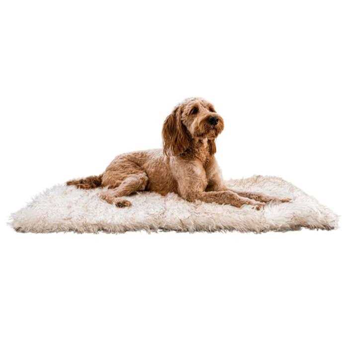 Paw PupRug Portable Orthopedic Dog Bed White