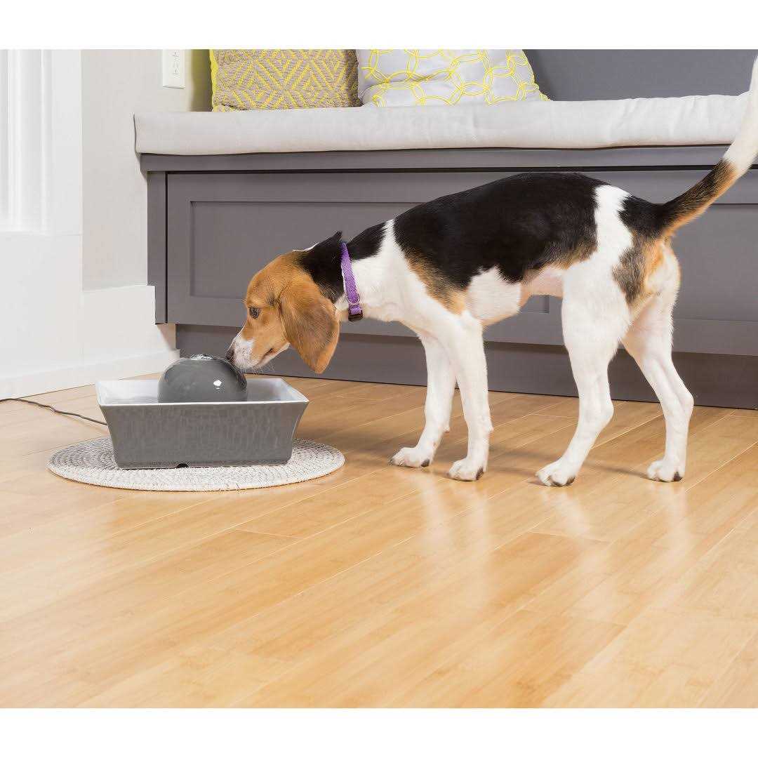 PetSafe Drinkwell Seascape Pet Fountain