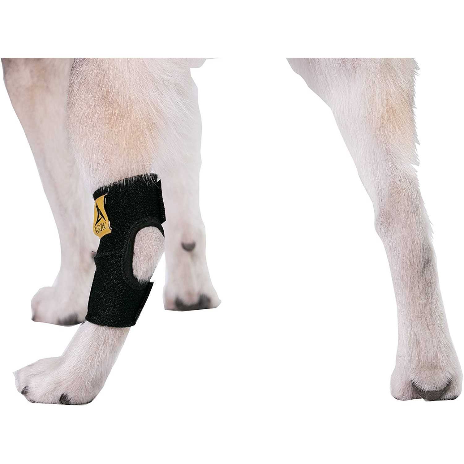 Agon Dog Canine Rear Hock Joint Brace Compression Wrap With Straps Dog For Back Leg Protects Wounds. Heals Prevents Injuries and Sprains Helps