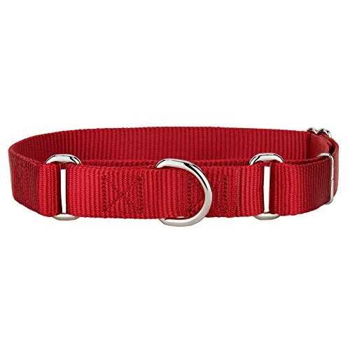 Country Brook Petz Martingale Nylon Dog Collar