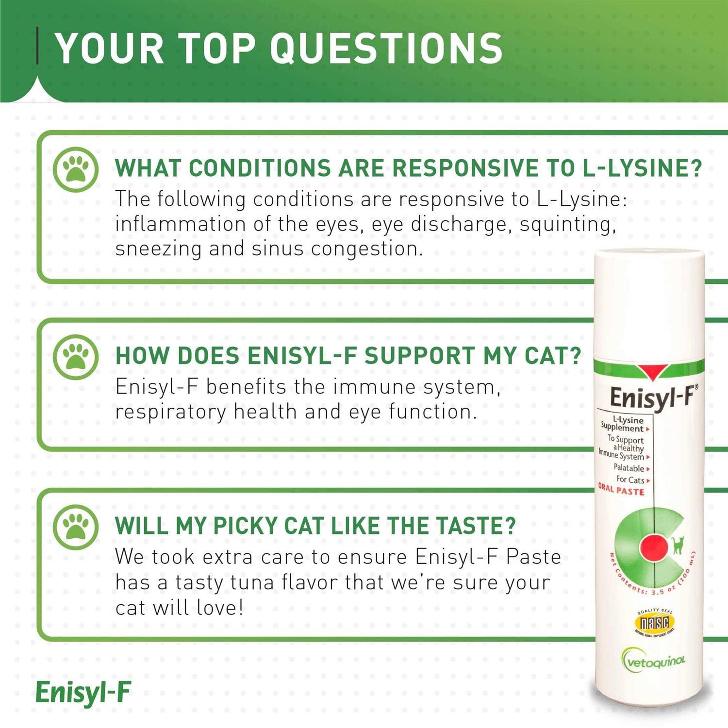 Enisyl F Oral Paste for Cats