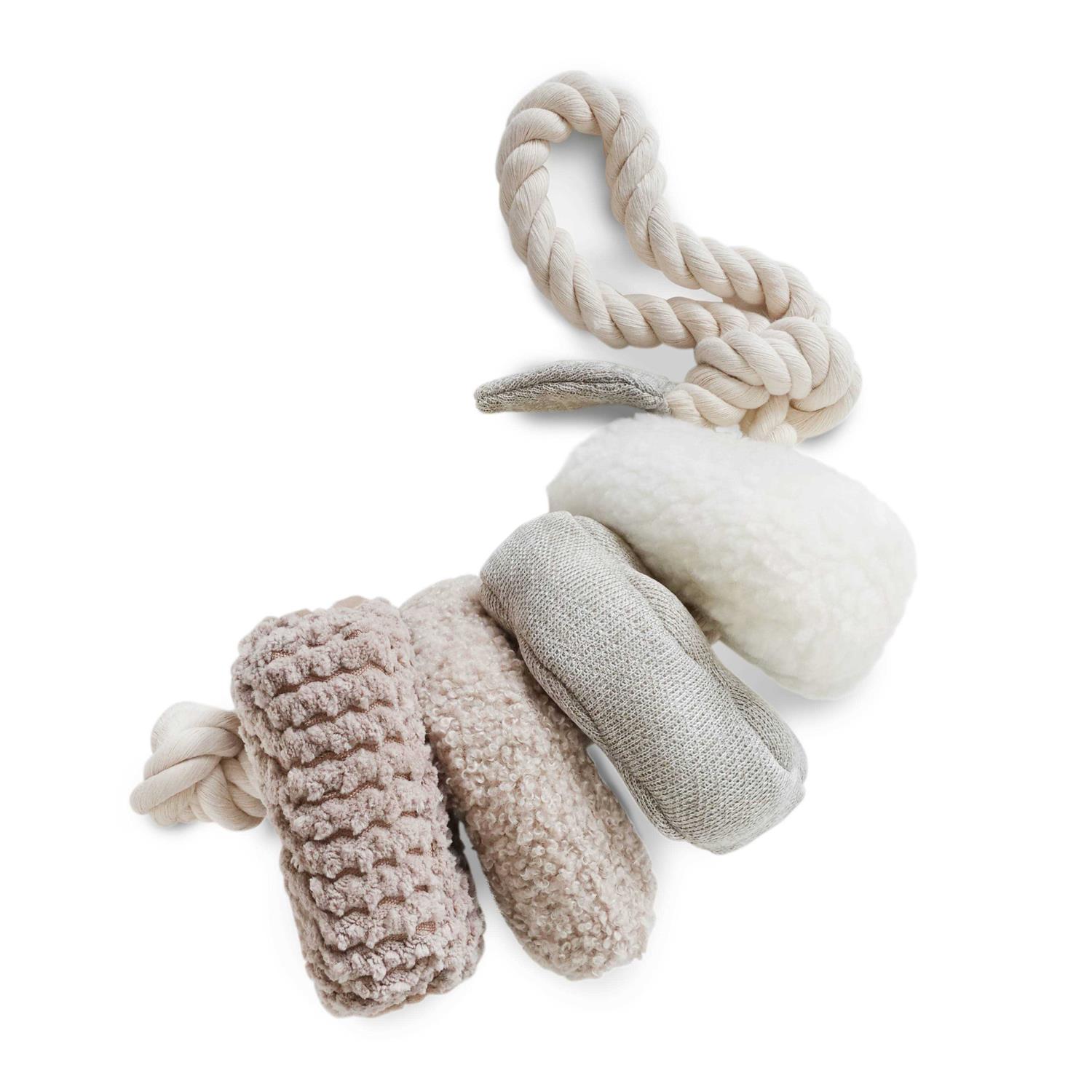 Blocs Enrichment Dog Toy