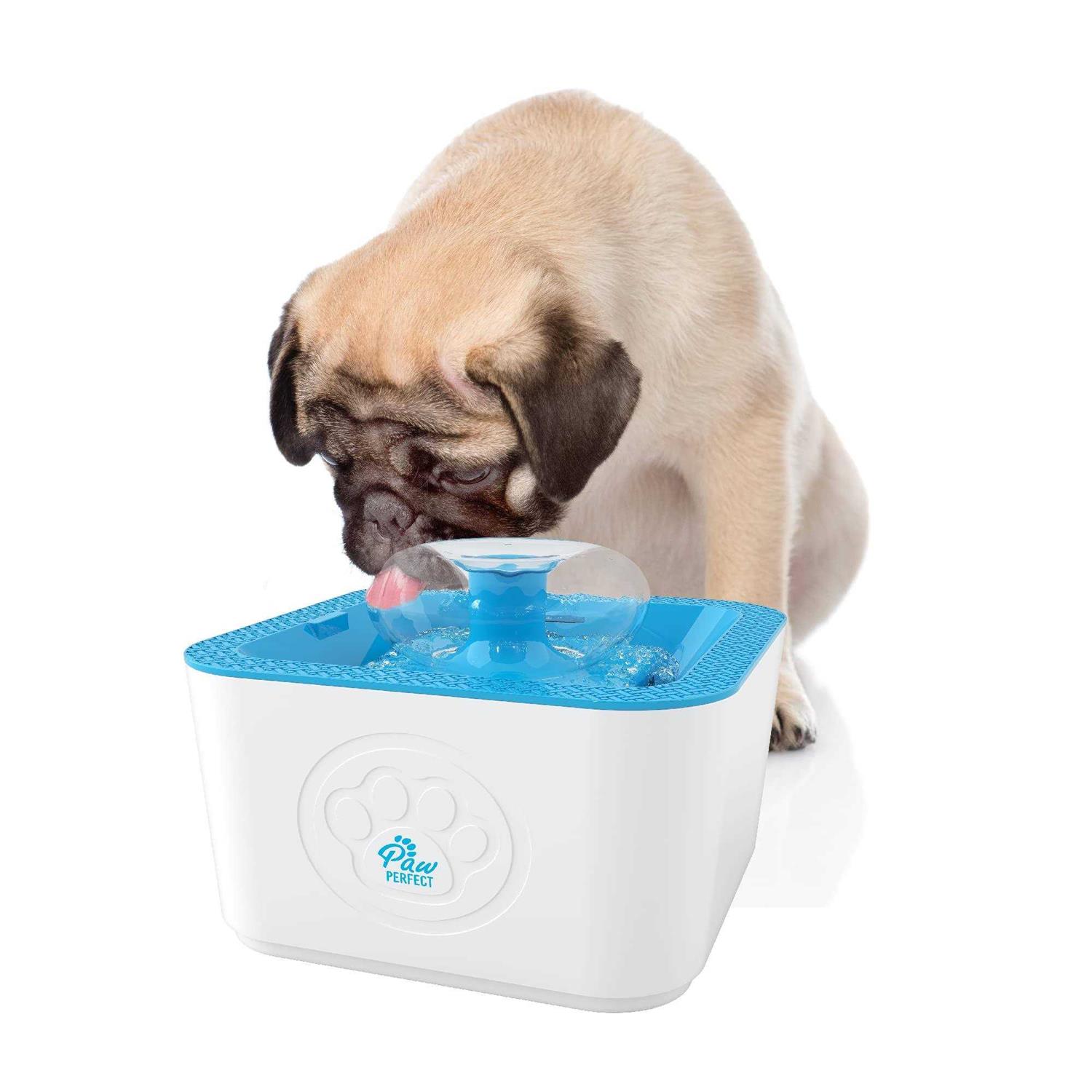 Paw Perfect Dog & Cat Filtered Water Fountain