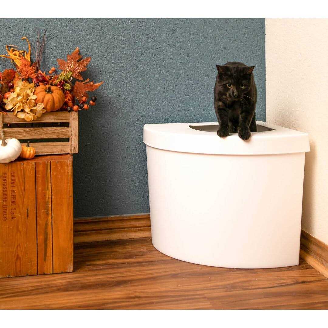 Standard Litter Box Kitangle