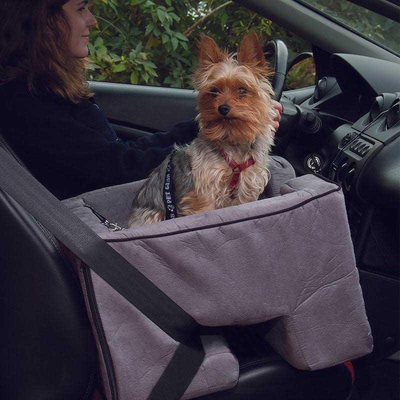 Pet Gear Booster Car Seat