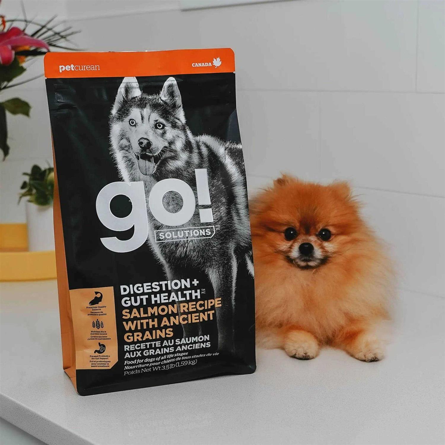 Go! Solutions Digestion Gut Health Salmon Recipe with Ancient Grains for Dogs
