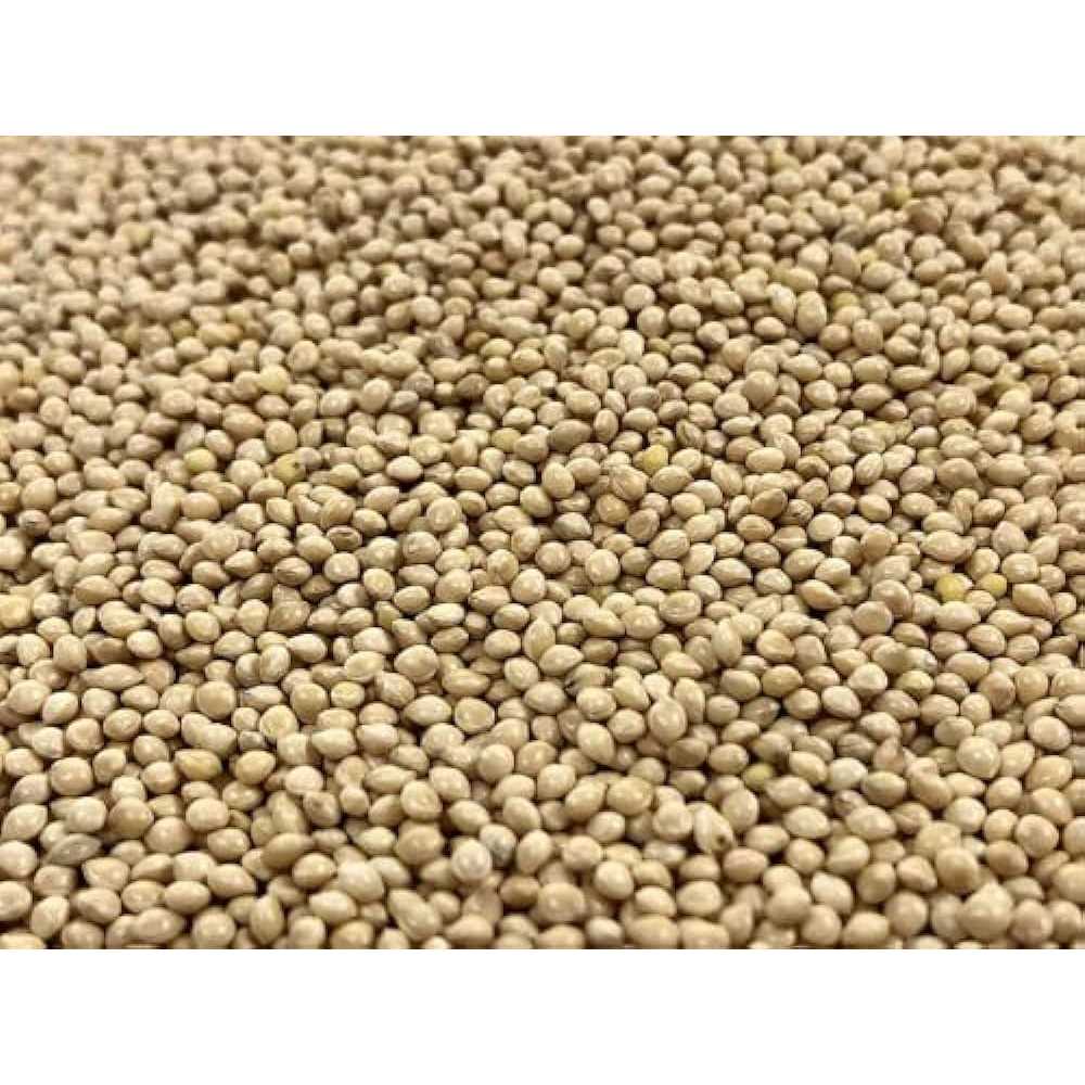 KAYSO INC Premium White Proso Millet Bird Seed Feed,10lbs Bulk Bag