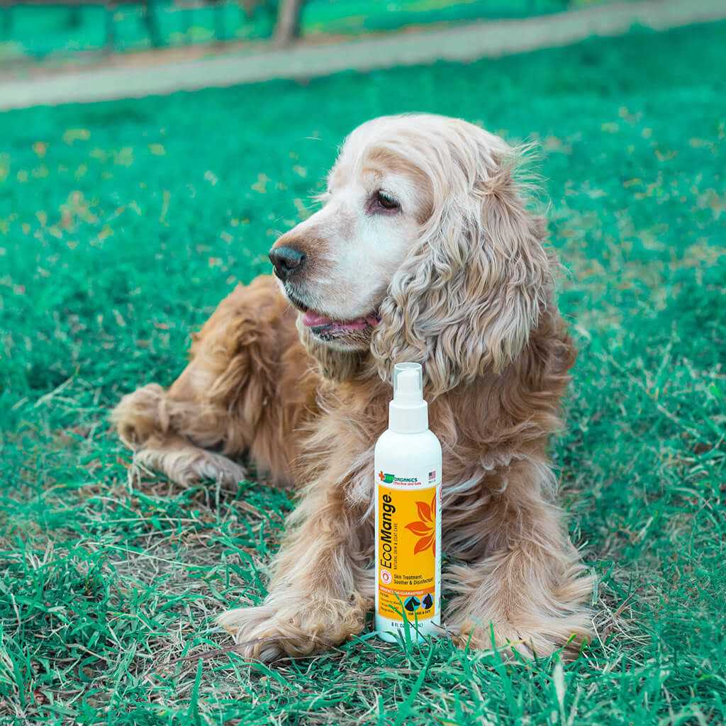 Vet Organics EcoMange Dog & Cat Mange Skin Treatment
