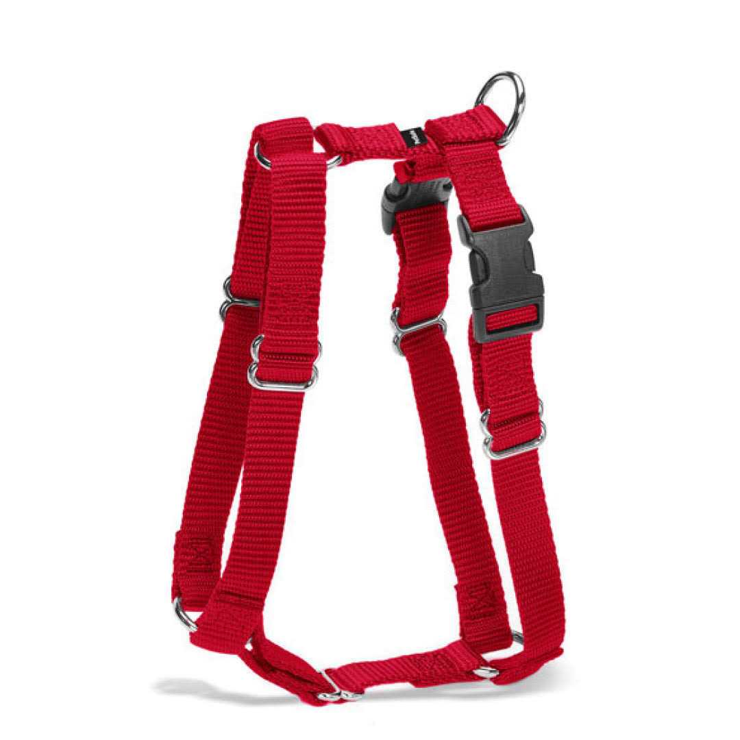 PetSafe Sure-Fit Harness