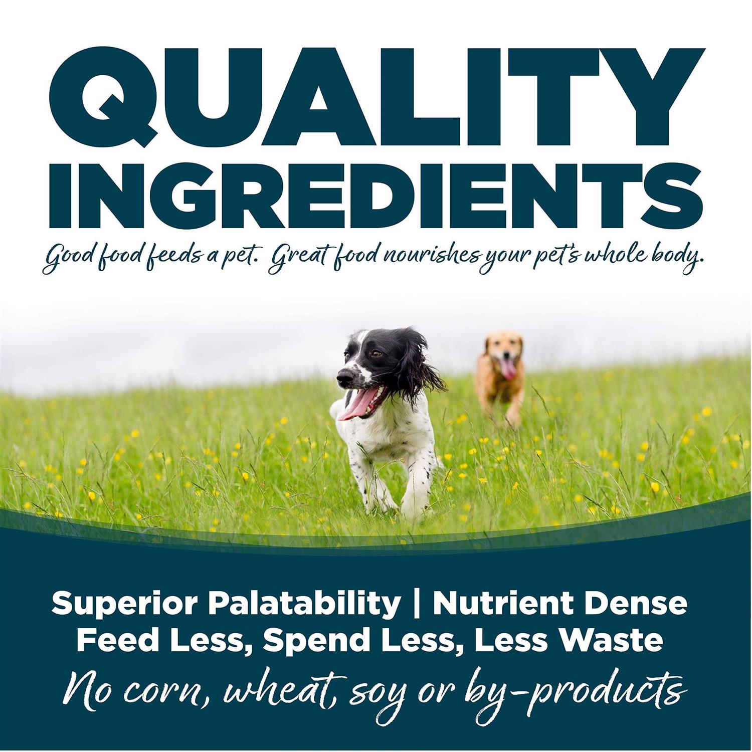 NutriSource Small Bites Adult Chicken & Rice Dry Dog Food