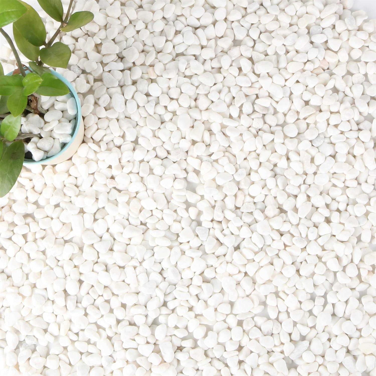 Anothera 18-lb Bulk Bag White Pebbles 1/2 Size Aquarium Gravel Outdoor Garden Paving Plant Decorative Stones
