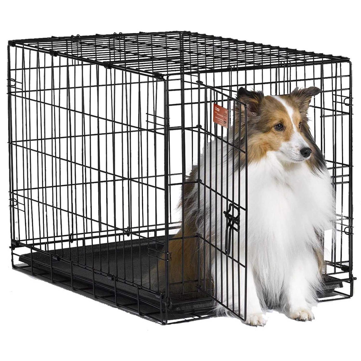 Midwest Single Door iCrate Dog Crate
