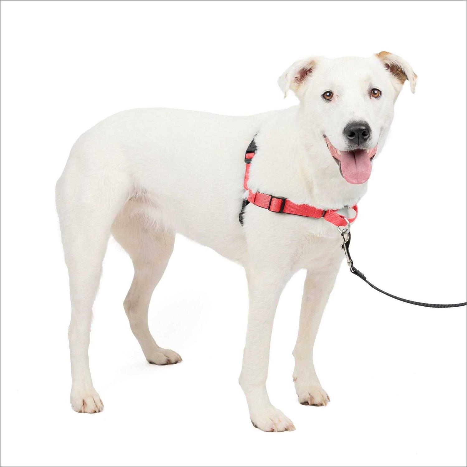 PETSAFE Easy Walk Harness