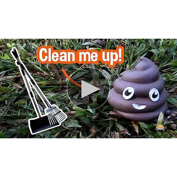 Bodhi Dog Metal Long Handle Tray and Rake Pooper Scooper Small, Medium, Large, XL Pets